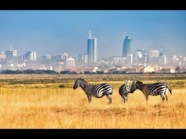 The World's only Wildlife Capital; The Nairobi National Park