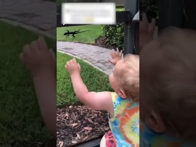 Cute baby get lizard on hand #shorts #shortsfeed #share #funny #shortvideo