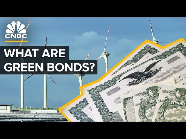 How The $1 Trillion Green Bond Market Works