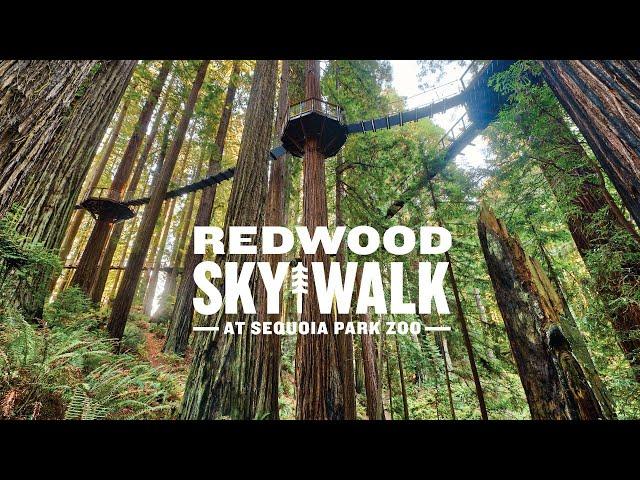 Redwood Sky Walk at Sequoia Park Zoo in Eureka California