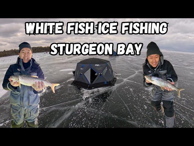 2025 White Fish - Sturgeon Bay (the BITE is on!)