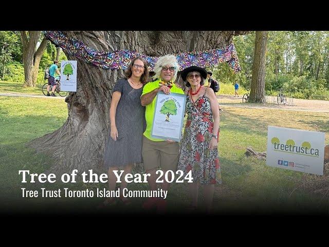 Tree of the Year 2024: Tree Trust TORONTO ISLAND Community