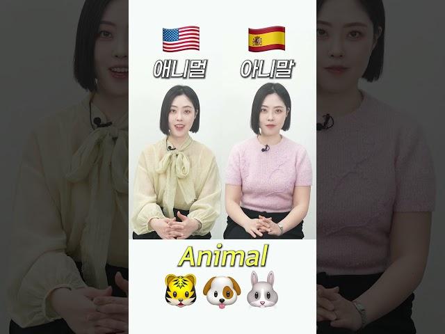 영어 VS 스페인어 같은 단어 발음차이!