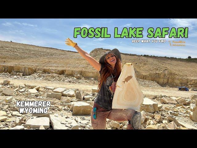 RARE FOSSIL FISH Hunt- Wyoming Fossil Lake Safari KEEP what you dig up  GREEN RIVER FORMATION