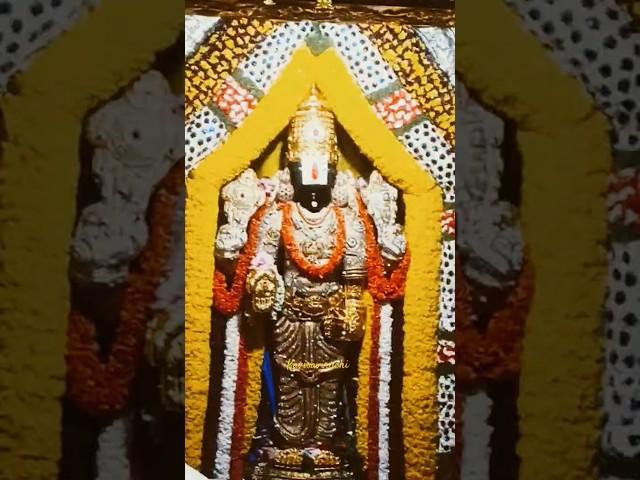 Shriman Naryana #hindugod #god #bhaktidhara #devotional #naryana #vrat #chanting #mantra #trending