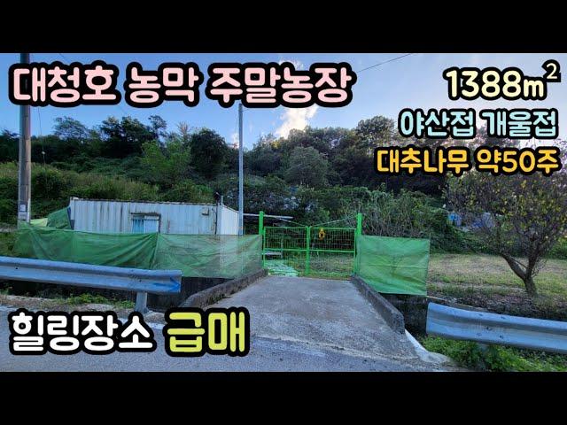 (매물번호14144) 보은부동산 1388㎡(420) 보은땅 보은토지매매매물 대전부동산 강가토지 물가땅 대전토지 시골땅 촌땅 소액땅 주말농장 전원주택지 청주부동산 청주땅 8900만원