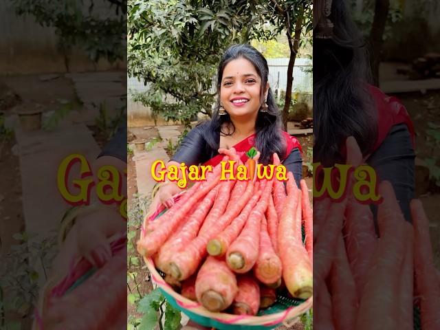 Gajar Ka Halwa #shorts