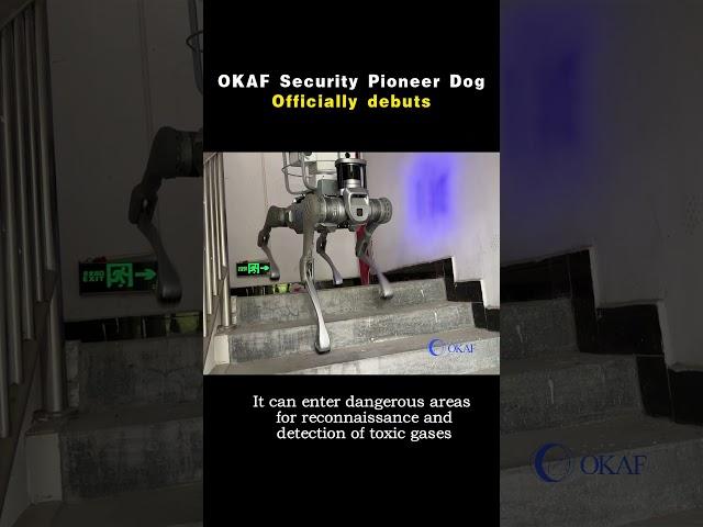 OKAF Go5 Security Robot Dog