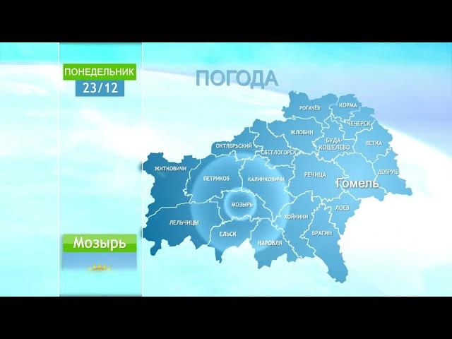 Погода в Гомеле и Гомельской области 23 декабря