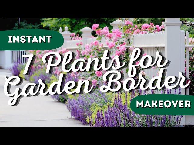 Drab to Fab: The 7 Best Garden Border Plants for Instant Wow Factor! 