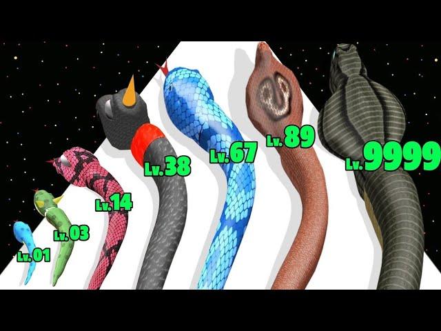 Snake Evolution Level up Snake Max Level Gameplay
