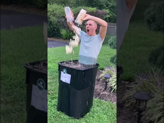 Nick pinto tiktok