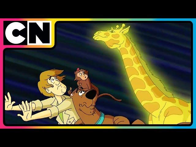 Scooby Doo | Gang’s Faceoff with Octoagle! | Compilation | 90s Cartoon | @cnindia