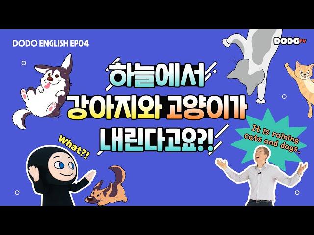 DODO ENGLISH | EP 04 하늘에서 강아지와 고양이가 내린다고요?! | 날씨와 관련된 재미있는 영어 표현