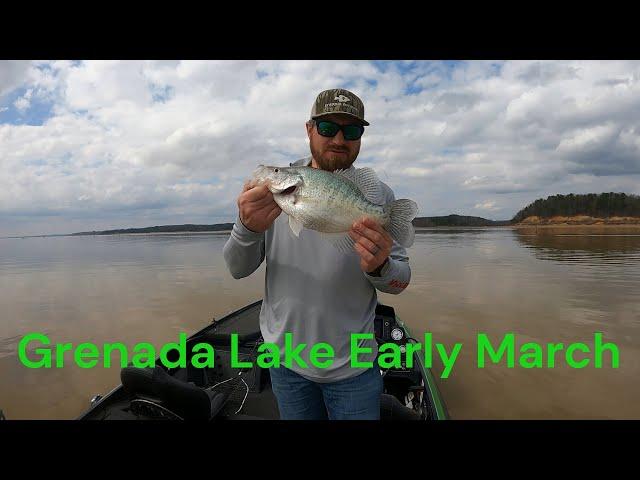 Grenada Lake March Crappie