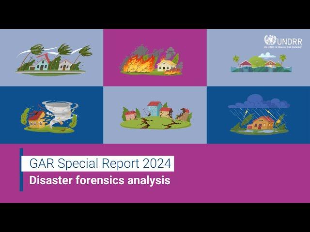 Disaster forensics analysis | GAR 2024 | UNDRR