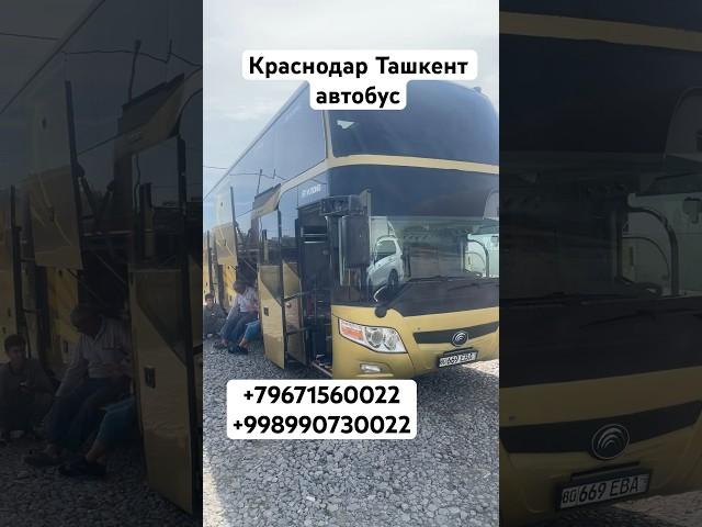 #краснодар #ташкент #автобус #ростов Краснодар Ташкент автобус пассажирский Брест Ташкент Краснодар