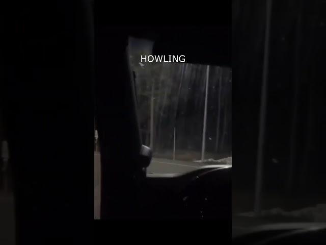 Warning! This Sound Will Haunt You. #mystery #viral #paranormal #haunted #nightmare #creepy #cctv
