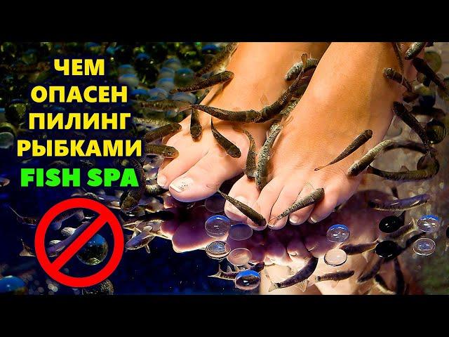  ЧЕМ ОПАСЕН ПИЛИНГ РЫБКАМИ ГАРРА РУФА / Какие болезни они переносят / Fish-пилинг / FISH SPA