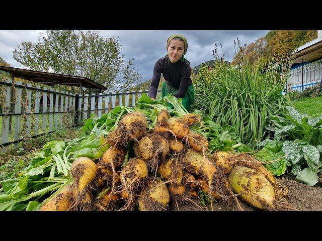 HOW A WOMAN LIVES ALONE IN THE MOUNTAINS! COOKING GIANT BEET