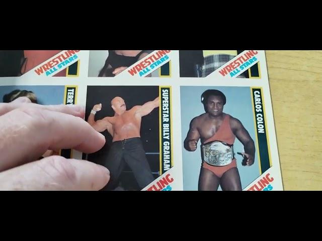 The Wrestling All-Stars magazine with all 54 Cards Hulk Hogan Ric Flair Andre the Giant Tommy Rich