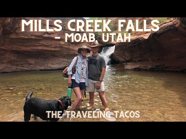 Hiking to Mills Creek Falls - The Traveling Tacos - Exploring Moab, Utah!