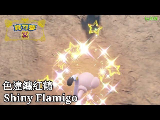 Pokémon Violet - Shiny Flamigo catch！捕捉色違纏紅鶴！by炎魂