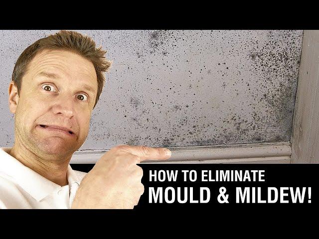 How to Paint over Mould & Mildew