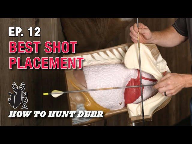 Best Shot Placement for Deer. How to Hunt Deer Ep. 12