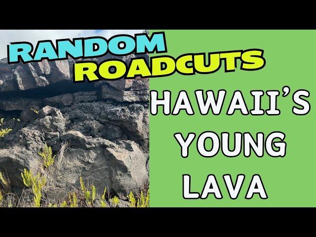 Boring Lava, You Say? NO WAY! Random Roadcuts #31