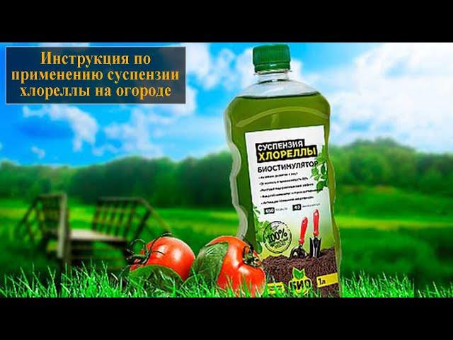 Суспензия хлореллы инструкция по применению