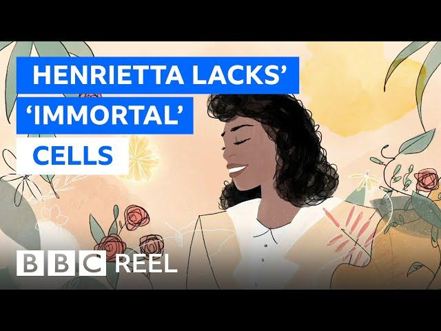 Henrietta Lacks: The 'immortal' cells that changed the world - BBC REEL