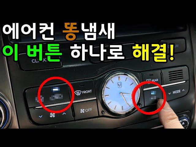 20년간 자동차 에어컨 냄새 안나게 탄 비결! 이렇게만 해보세요