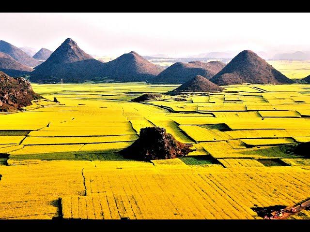 雲南 羅平油菜花及九龍瀑布