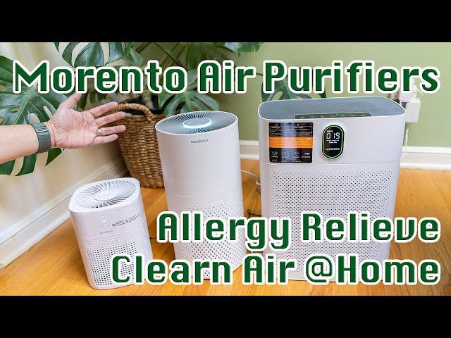 Morento Air Purifiers Review | Allergy Relieve and Clean Air at Home