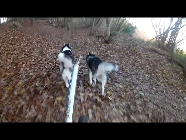 Jayson & Socks 27-11-2016 Woldberg