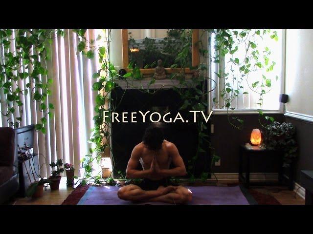 60 Minute Hatha Yoga Class for flexibility, by Stephen founder of FreeYoga.TV