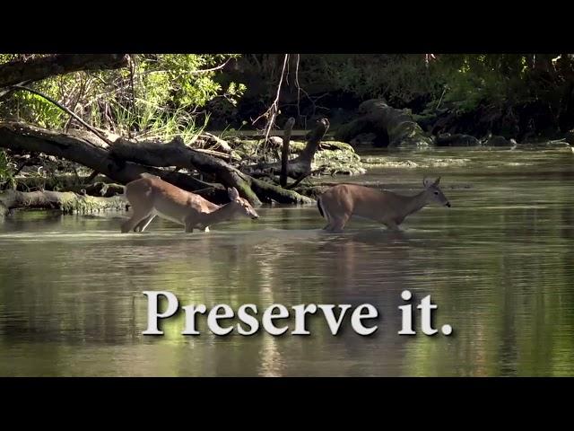 Preserve it.