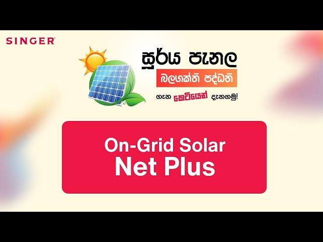 On-Grid Solar | Net Plus