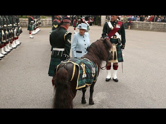 Queen reunited with cheeky Shetland pony who nibbled on her flowers