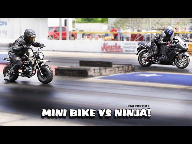 MINI BIKE RACES NINJA! COLEMAN RT200 VS '16 KAWASAKI NINJA ZX14R ABS! BYRON DRAGWAY!