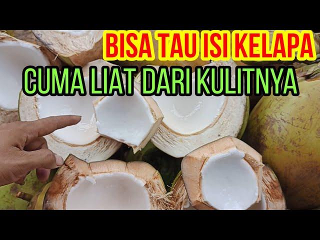 CARA MEMILIH KELAPA MUDA || CARA MEMBEDAKAN KELAPA MUDA DAN TUA || COCONUT CUTTING SKILLS