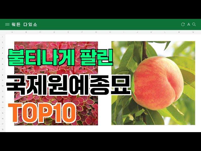 요즘 잘 팔리는 국제원예종묘 추천 TOP10 (가격,평점,비교)