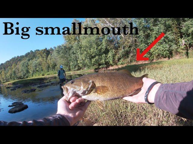 Aggressive Topwater Smallmouth in a Low River (West Virginia Smallmouth Fishing)