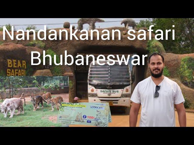 nandankanan jungle safari | Lion safari | Tiger safari | Odia vlog | Bear safari