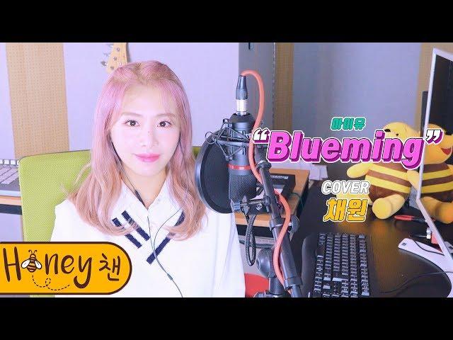 IU - BluemingㅣCOVER by 채원ㅣCOVERㅣHoney챈