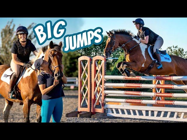 Pro SHOWJUMPER Competes My Horse