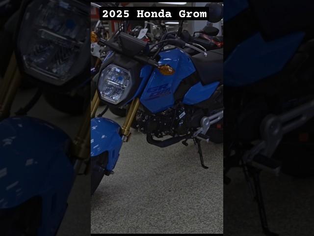 Introducing the 2025 Honda Grom #short #gromlife #honda