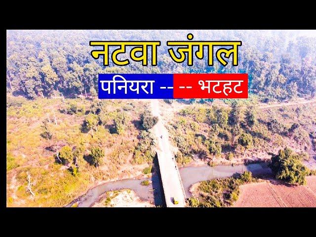 Natwa Jangal Paniara Maharajganj DRONE View By MR.RK VLOG