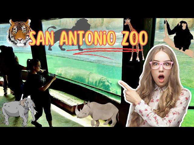 San Antonio Zoo Tour 2024 4K 60fps